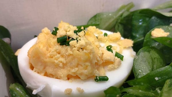 Oeuf bio mimosa – Image 3